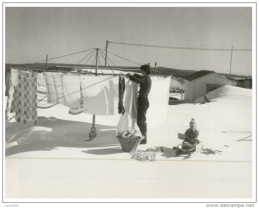 (155) Australia - NSW - Snowy MOuntain Hydro-Electric Scheme - Cabramurra 1955 - Washing Day - Autres & Non Classés