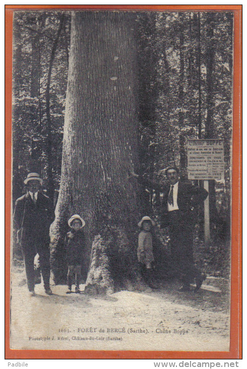 Carte Postale 72. Bercée  La Forêt  Le Chêne Boppe Arbre    Trés Beau Plan - Other & Unclassified