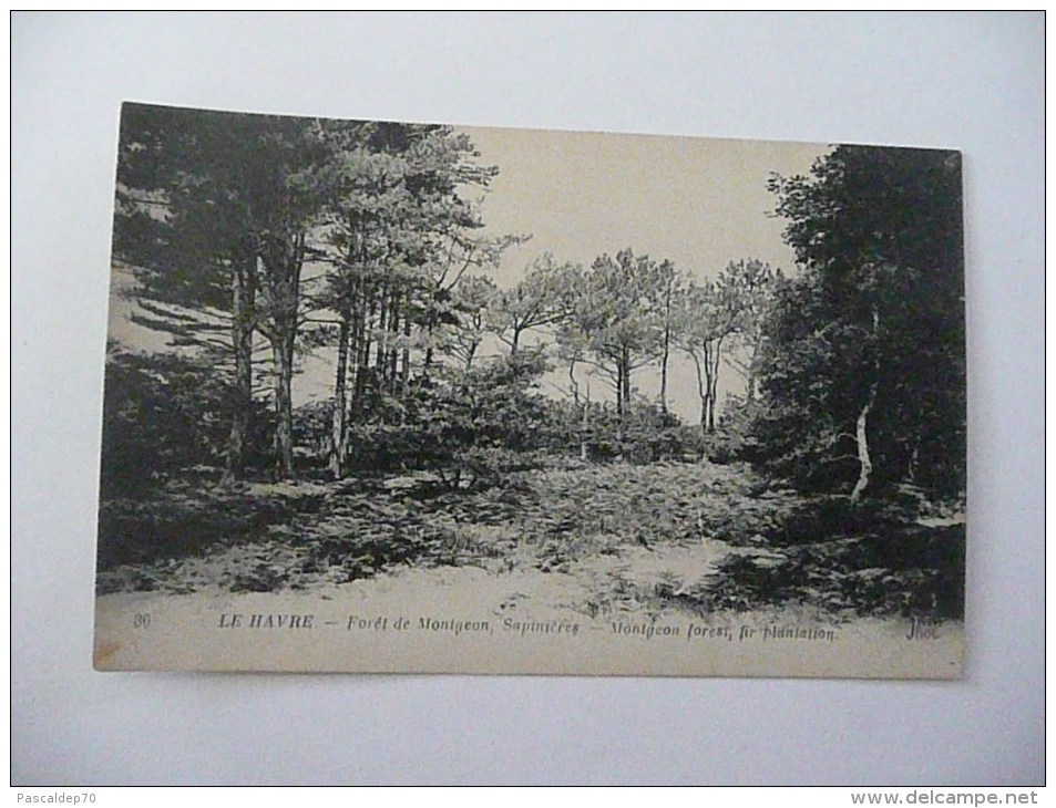 LE HAVRE - Forêt De Montgeon, Sapinières - (Rare !) - Forêt De Montgeon