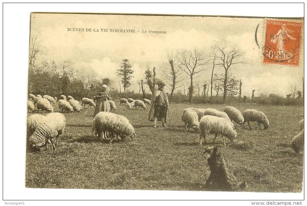 Scènes De La Vie Normande, Couple Avec Chien Gardant Le Troupeau De Moutons En 1907 - Timbre Recto Semeuse Camée 10c - Basse-Normandie