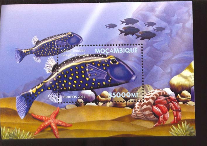 MOZAMBIQUE   1416 MINT NEVER HINGED SOUVENIR SHEET OF FISH-MARINE LIFE  #   667-5   ( - Fishes