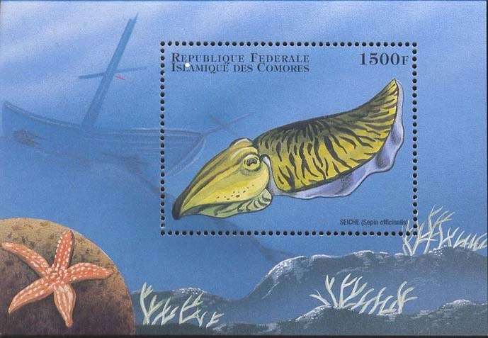 COMORES   831  MINT NEVER HINGED SOUVENIR SHEET OF FISH-MARINE LIFE  #   111-5  ( - Fische