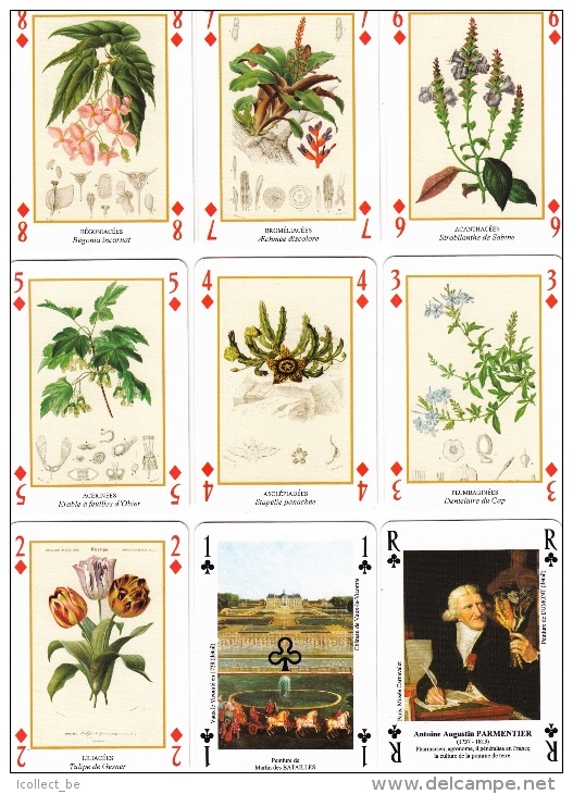 FLEURS, PARCS Jeu De Cartes Complet + 2 Jokers (Speelkaarten, Playing Cards) - Carte Da Gioco