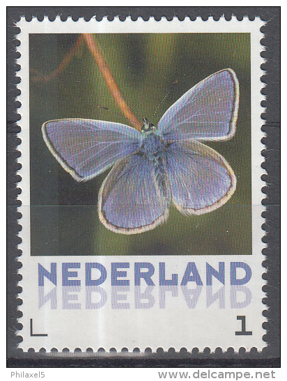 Nederland - Uitgiftedatum 6 Maart 2015 – Vlinders/Butterflies - Icarusblauwtje - Polyommatus Icarus - MNH/postfris - Vlinders