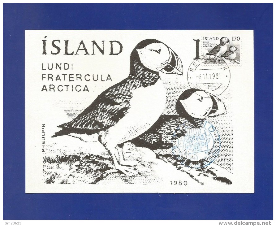 Island 1981 Mi.Nr. 559 ,  Pheulpin ( WIPA 1981 ) - Maximum Card - First Day  Reykjvik  -6.11.1981 - Cartoline Maximum