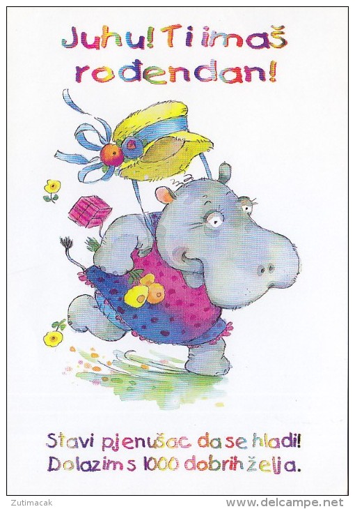 Dressed Hippo Hippopotamus Postcard - Hippopotamuses