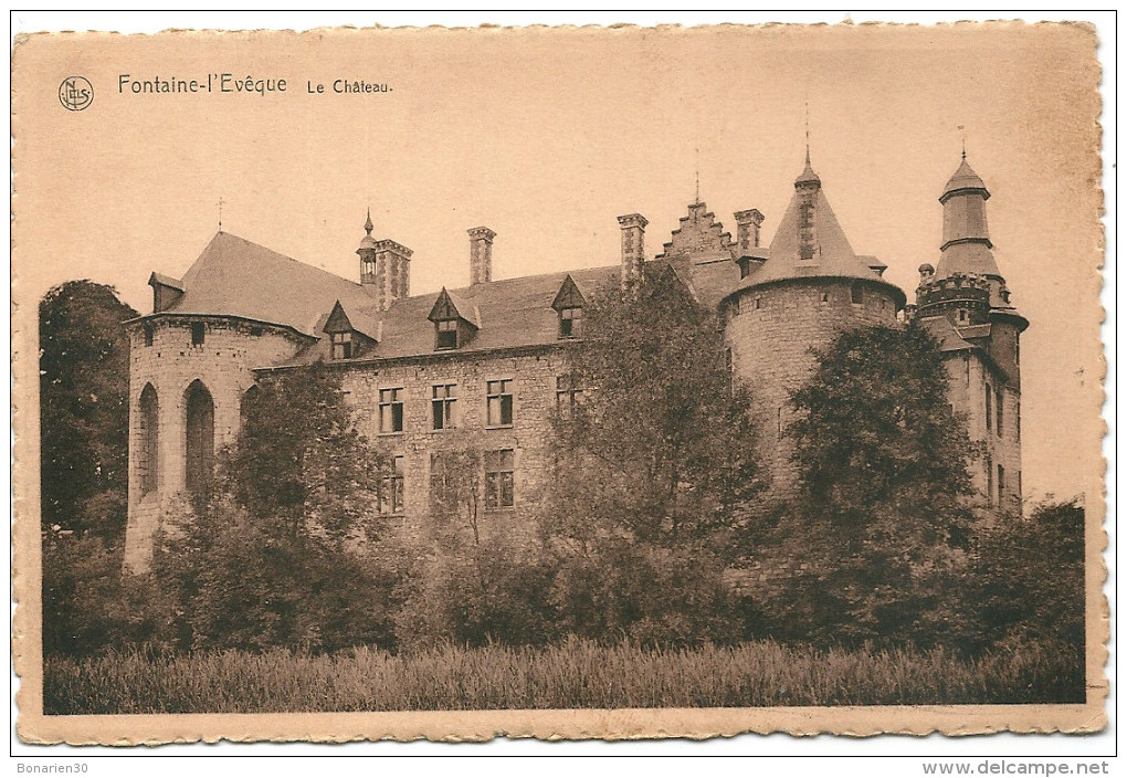 CPA BELGIQUE FONTAINE L'EVEQUE LE CHATEAU JOLI PLAN - Fontaine-l'Evêque