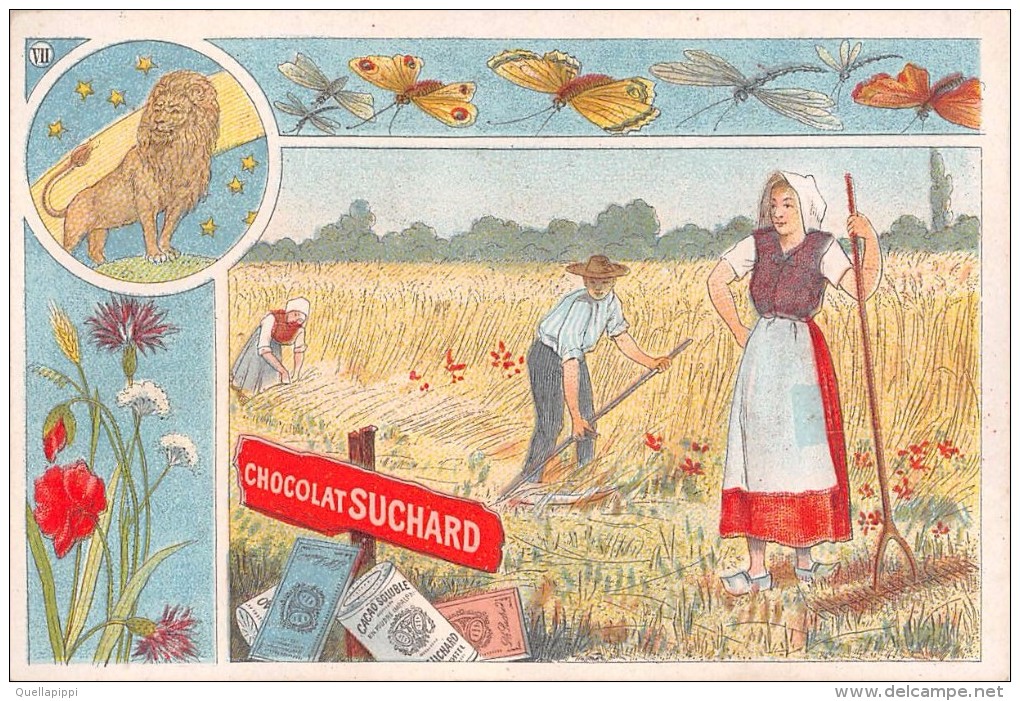 04101 "FABRIQUE DE CHOCOLAT PH. SUCHARD - NEUCHATEL - SUISSE" ANIMATO, CONTADINI, GRANO,  FIGURINA ORIGINALE - Schokolade