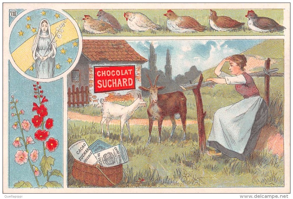 04107 "FABRIQUE DE CHOCOLAT PH. SUCHARD - NEUCHATEL - SUISSE" ANIMATO, CONTADINA, CAPRE,  FIGURINA ORIGINALE - Schokolade