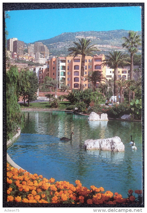 5 Cartes postales - Monaco - Fontvieielle / Palais / Cathédrale - 1970 ?