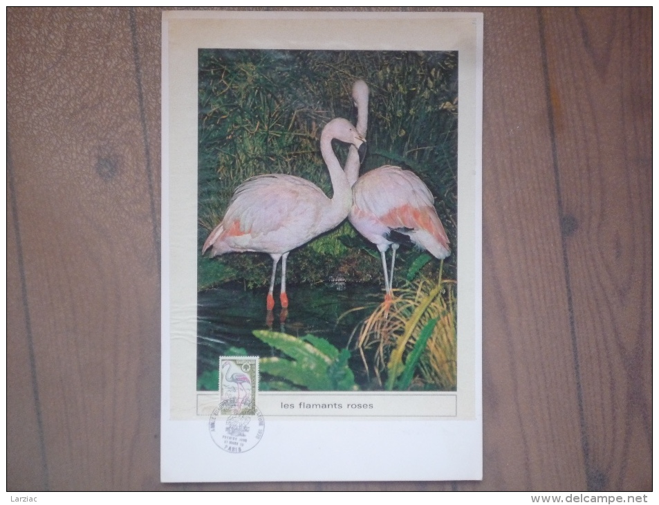 Thème Flamant Rose Page De Magazine Avec Timbre Oblitération 1er Jour Année Européenne De La Nature Paris 1970 - Flamingo