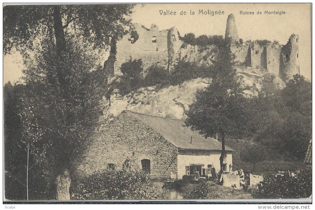 Vallée De La Molignée   -    Ruines De Montaigle - Onhaye