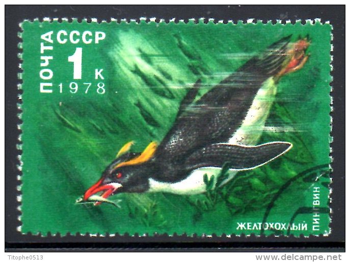 URSS. N°4498 Oblitéré De 1978. Manchot. - Antarctic Wildlife