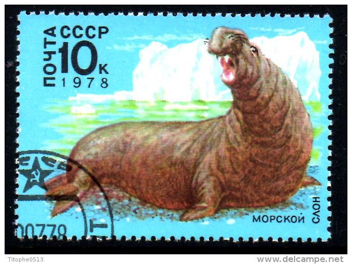 URSS. N°4502 Oblitéré De 1978. Eléphant De Mer. - Antarctic Wildlife
