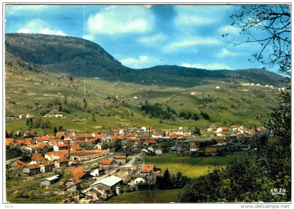 Carte Postale Ancienne De BUSSANG-vue Générale - Bussang