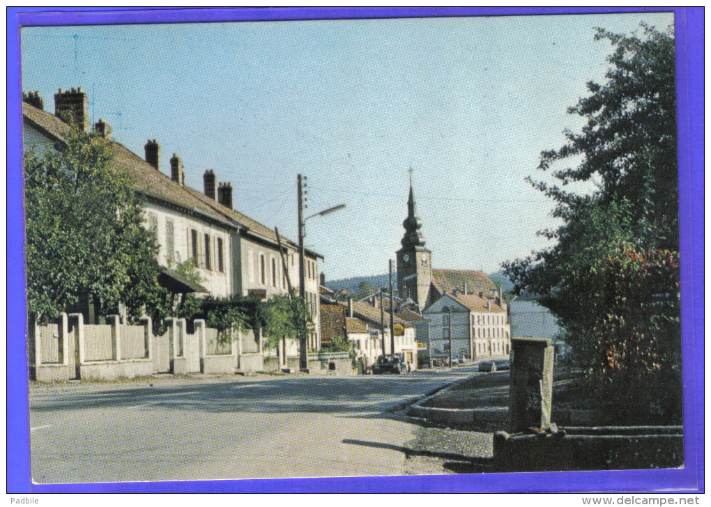 Carte Postale 88. Provencheres-sur-Fave  Trés Beau Plan - Provencheres Sur Fave