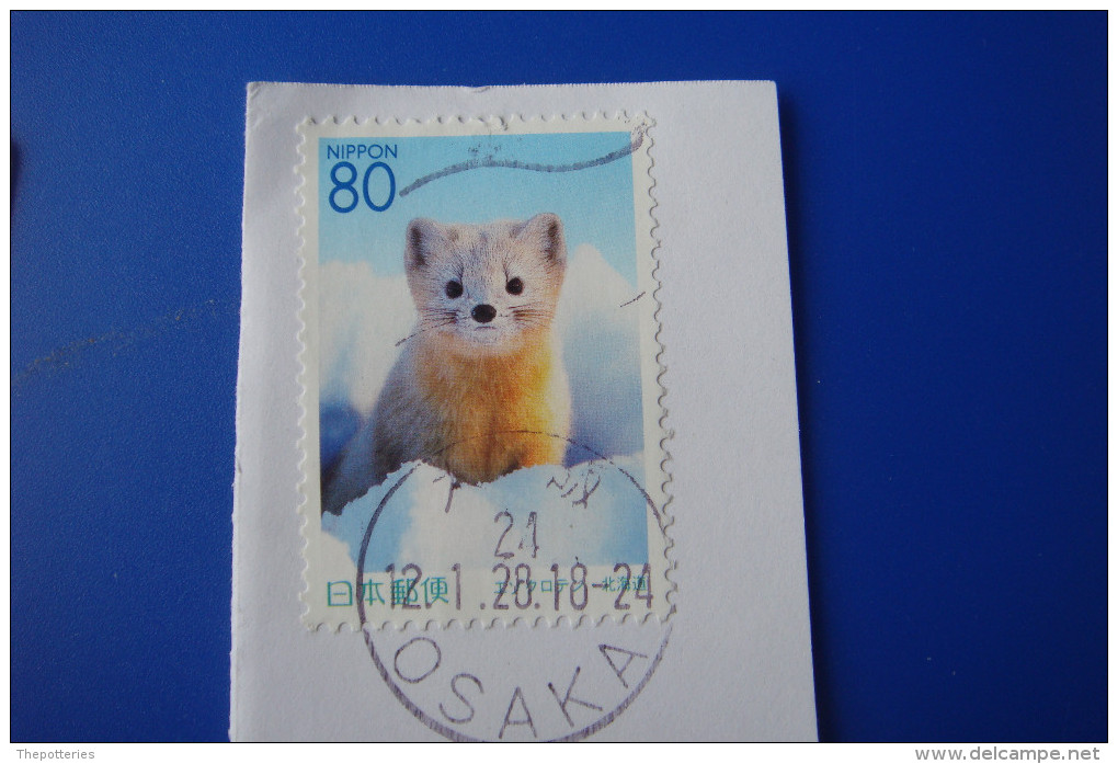 3-936 Japon Nippon Renard Fox Polaire Polar Fuchs Zorro Volpe Vos - Arctic Tierwelt