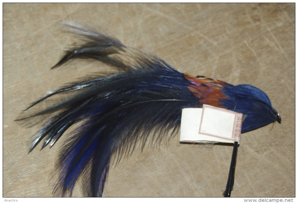 PLUME à CHAPEAU Tige OISEAU DES ILES  BLEU Electrique  Couleurs Chatoyantes 14 Cms - Coiffes, Chapeaux, Bonnets