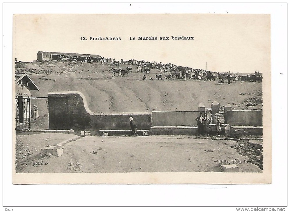 ALG.0135/ Souk-Ahras - Le Marché Aux Bestiaux - Souk Ahras