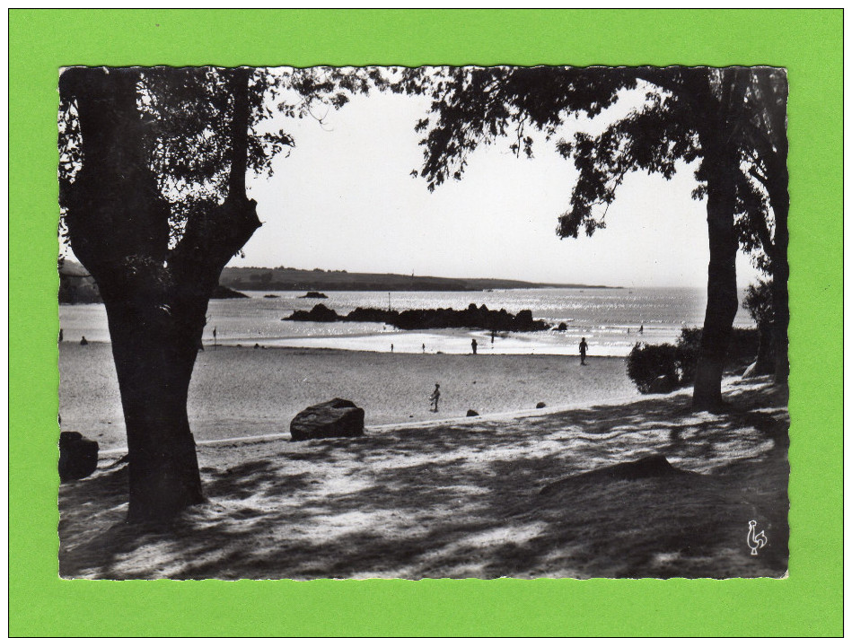 -Finistère-Port Manech-La Plage à Marée Basse Et La Roch-CPSM- - Autres & Non Classés