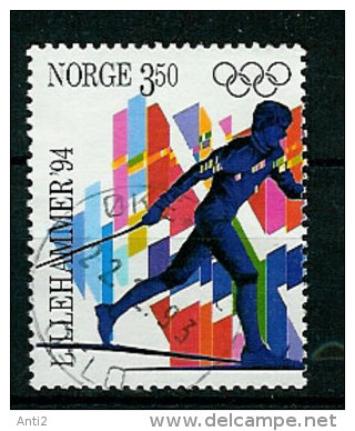 Norway Norge 1993 Olympic Winter Games Lillehammer 1994, Torch Relay Mi 1139  Cancelled(o) - Invierno 1994: Lillehammer