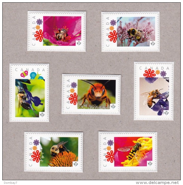 HONEY BEE, BUMBLEBEE, WASP, Picture Postage MNH Set 7 Canada 2016 [p16/03be7] - Honeybees