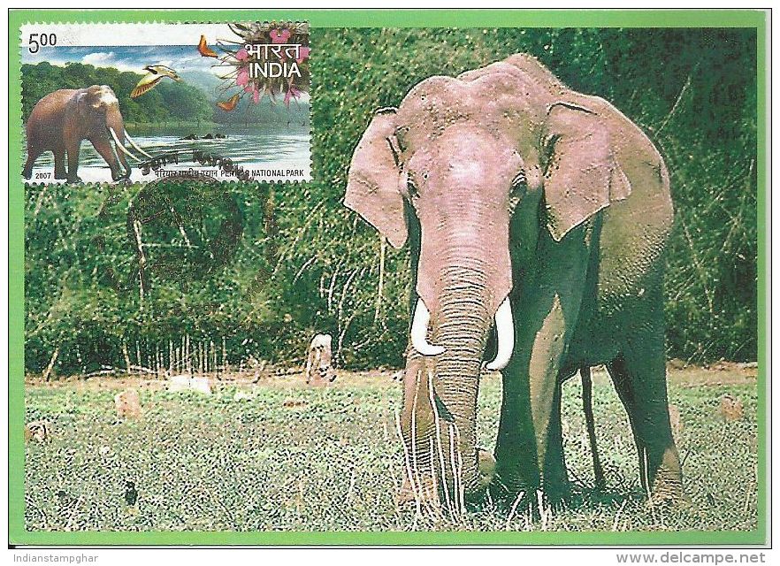 Maximum Card India  2007 Periyar National Park,Elephant,Wildlife, Maxim Card - Elephants