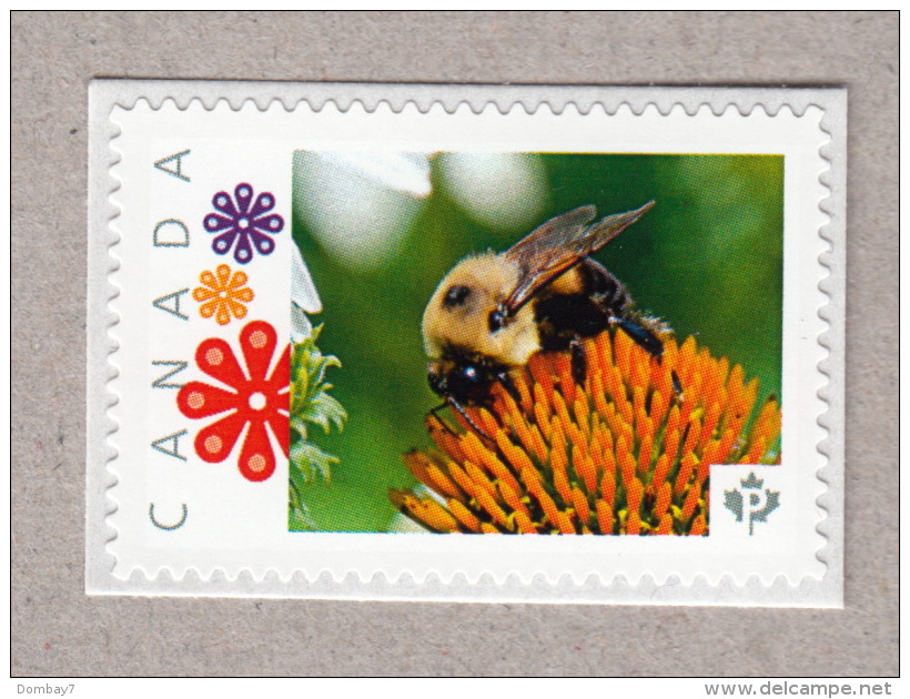 BEE ON ECHINACEA FLOWER Picture Postage MNH Stamp Canada2016 [p16/03be7/4] - Honeybees