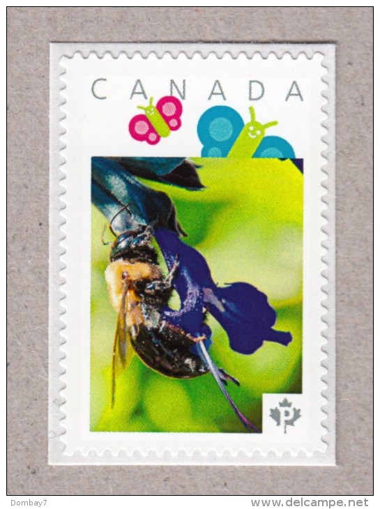 BEE ON BLUE ANISE SAGE FLOWER Picture Postage MNH Stamp Canada2016 [p16/03be7/6] - Abeilles