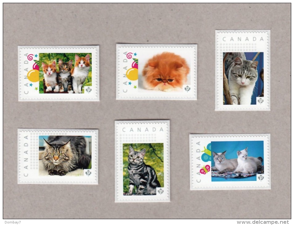 DOMESTIC CATS Picture Postage MNH Set 6 Canada 2016 [p16/03dc6] - Domestic Cats