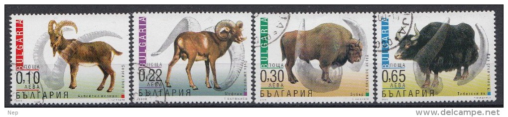 BULGARIJE - Michel - 2000 - Nr 4484/87 - Gest/Obl/Us - Used Stamps