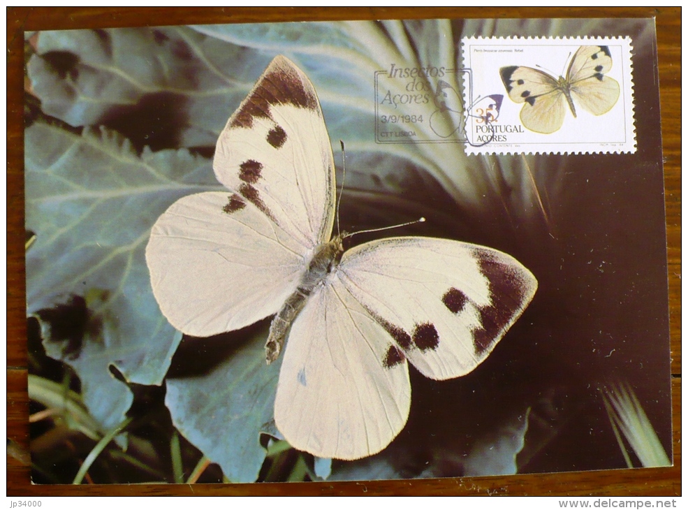ACORES PORTUGAL Papillons, Butterflies, Mariposas, SCHMETTERLINGE, Yvert N° 355 FDC, Carte Maximum, Maximum Card - Papillons