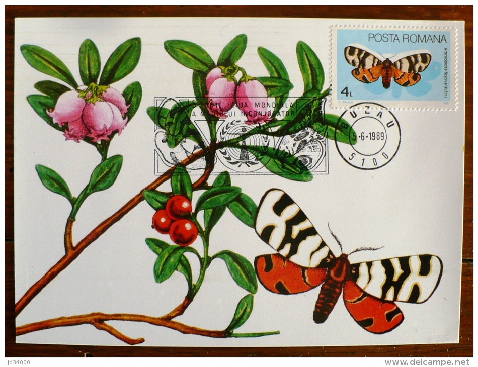 ROUMANIE Papillons, Butterflies, Mariposas, SCHMETTERLINGE, Yvert N°3591 FDC, Carte Maximum, Maximum Card - Papillons