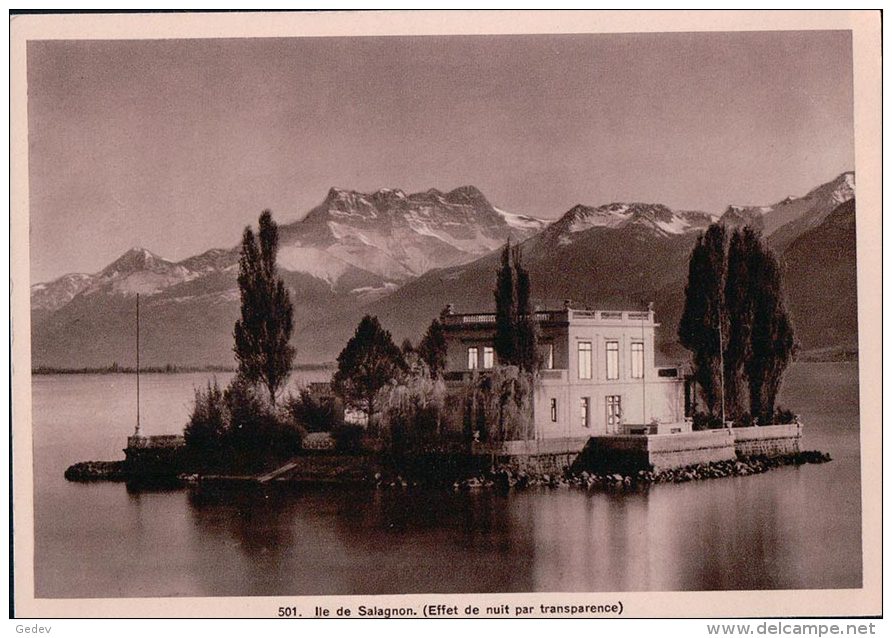 Ile De Salagnon Vaud Suisse, Effet De Nuit (501) - Contre La Lumière