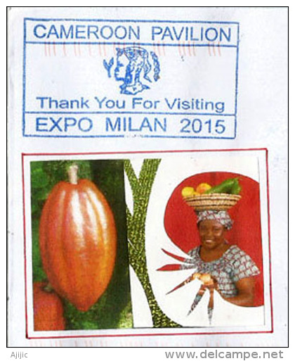 CAMEROUN. EXPO MILAN 2015. "NOURRIR LA PLANÊTE", 1 Er Producteur Mondial Du CACAO.Lettre Adressée En Andorre - 2015 – Milan (Italie)