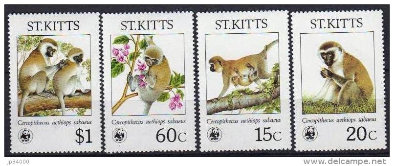 SAINT CHRISTOPHE, ST KITTS WWF, Singes Yvert N° 613/16 ** Neuf Sans Charniere. MNH. - Neufs