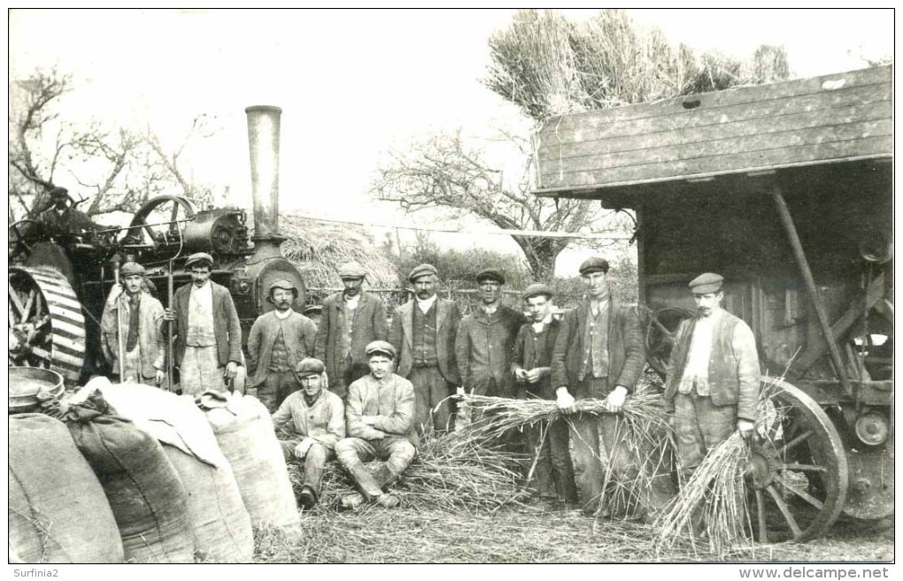 CLWYD - STEAM THRESHING AT LLANELIDAN C1910 (REPRO) Clw-301 - Flintshire