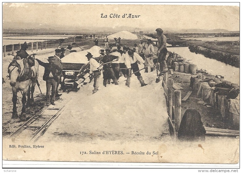 C P A  - SALINS  D'  HYERES Récolte U Sel - Hyeres