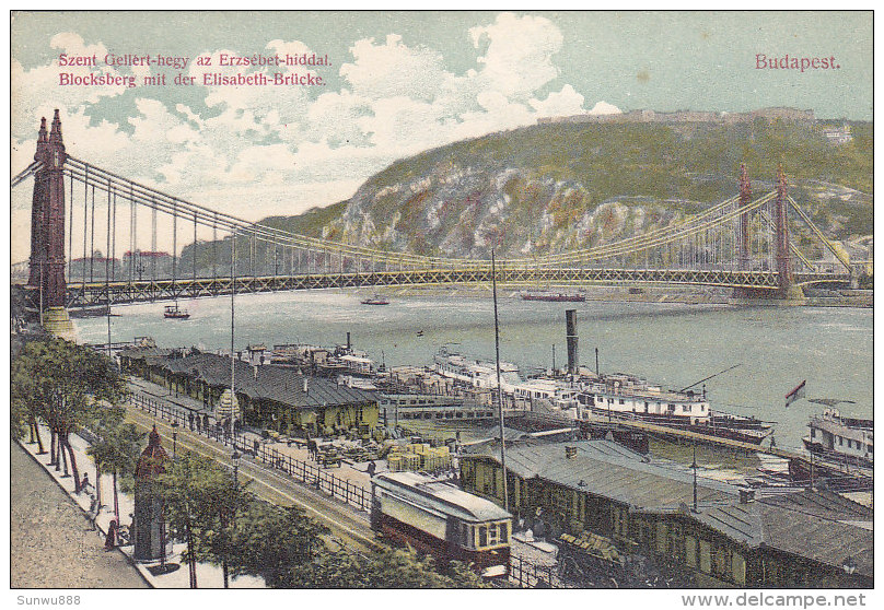 Budapest - Szent Gellert-hegy Az Erzsebet-hiddal - Blockberg Mit Der Elisabeth-Brücke (animation, Tram, Train?) - Hongrie