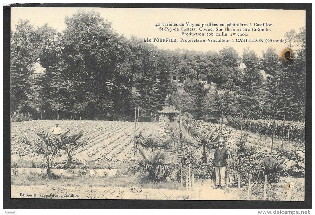 CASTILLON Sur DORDOGNE Rare Pépiniériste Léo FOURNIER (Zappatereau) Gironde (33) - Autres & Non Classés