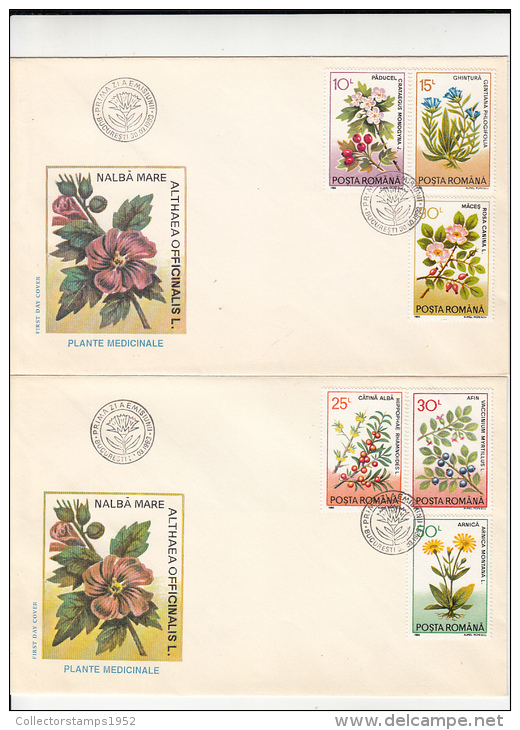 4120FM- HAWTHORN, GENTIAN, ROSE HIPS, BUCKTHORN, BLUEBERRY, WOLF'S BANE, MEDICINAL PLANT, COVER FDC, 2X, 1993, ROMANIA - Geneeskrachtige Planten