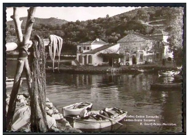 Greece - Circulated Postcard 1962 Lesbos Scala Sycamia - Grèce