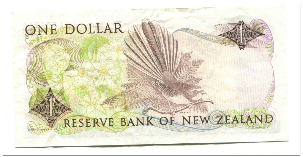 New Zealand One Dollar Banknote - New Zealand