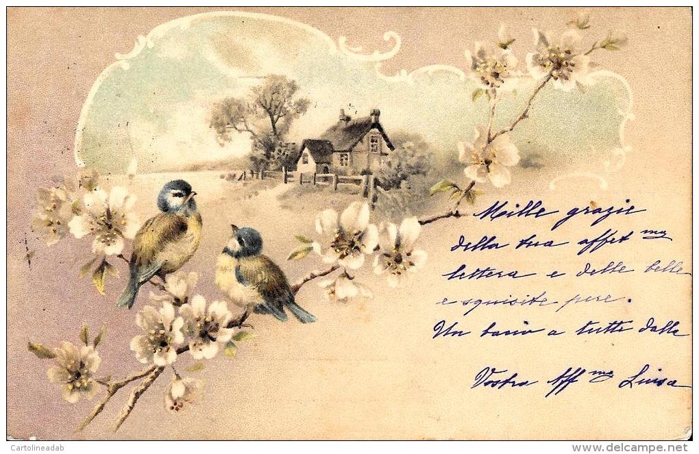 [DC2668] CPA - UCCELLINI SU RAMO FIORITO - Viaggiata - Old Postcard - Birds