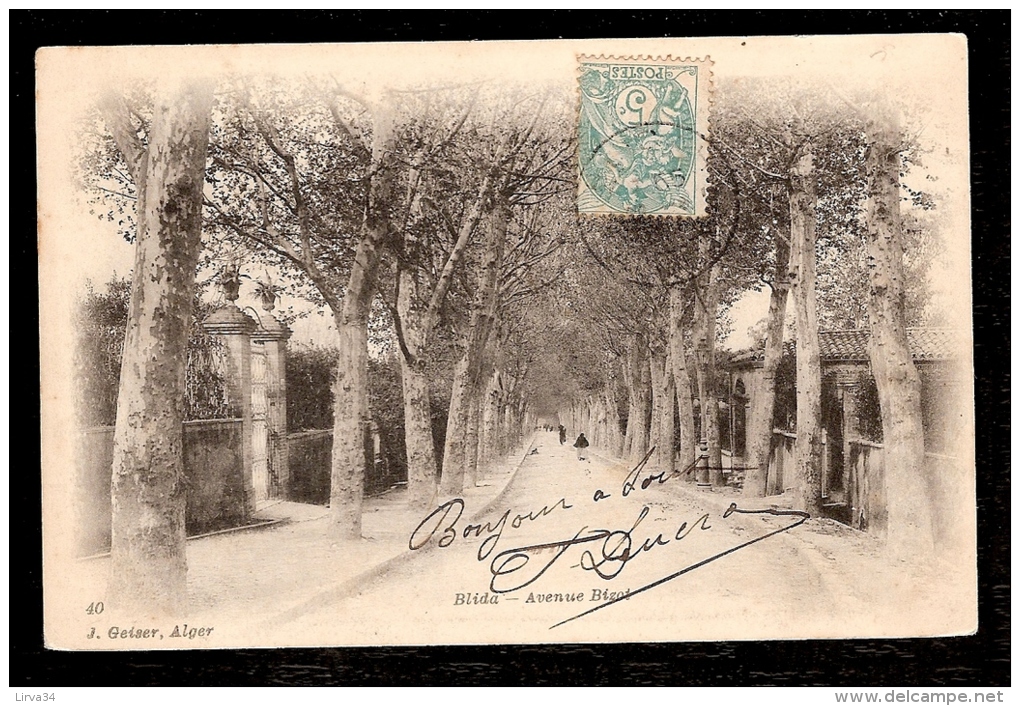 LOT 2 CPA PRECURSEUR- ALGÉRIE- BLIDA EN 1900- RUE DU BEY ET BAIN MAURE + AVENUE BIZOT- ANIMATION- 2 SCANS - Blida