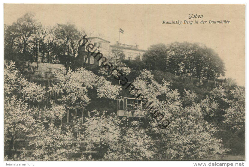 Guben - Kaminsky Berg In Der Baumblüte - Verlag Julius Rothe Guben - Guben