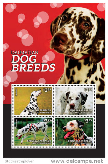 Grenada Grenadines-2014-Fauna-Dog Breeds Dalmatians - St.Vincent E Grenadine