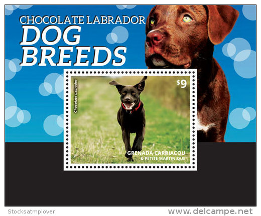 Grenada Grenadines-2014-Fauna-Dog Breeds Dalmatians - St.Vincent E Grenadine