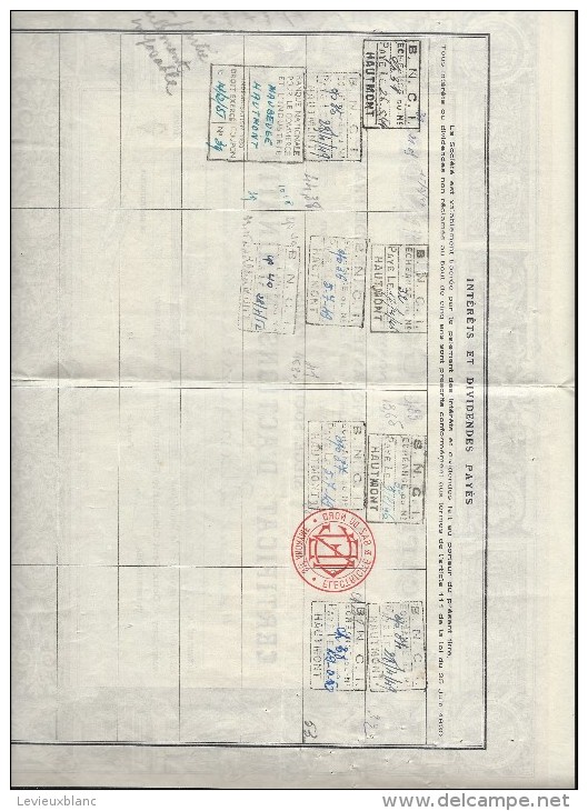 Electricité Et Gaz Du Nord/Certificat D'actions Nominatives/Richard/Rue De Pétrograd/Paris/Hautmont/Nord/1943   ACT99 - Electricité & Gaz