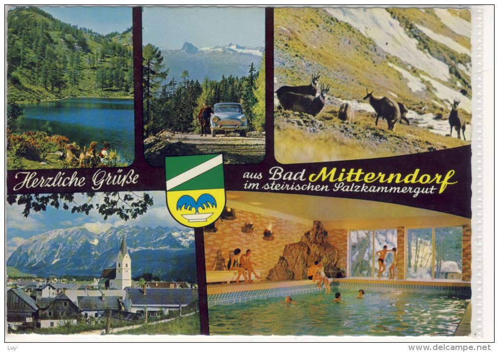 BAD MITTERNDORF - Mehrbildkarte Aus Dem Steirischen Salzkammergut - Bad Mitterndorf